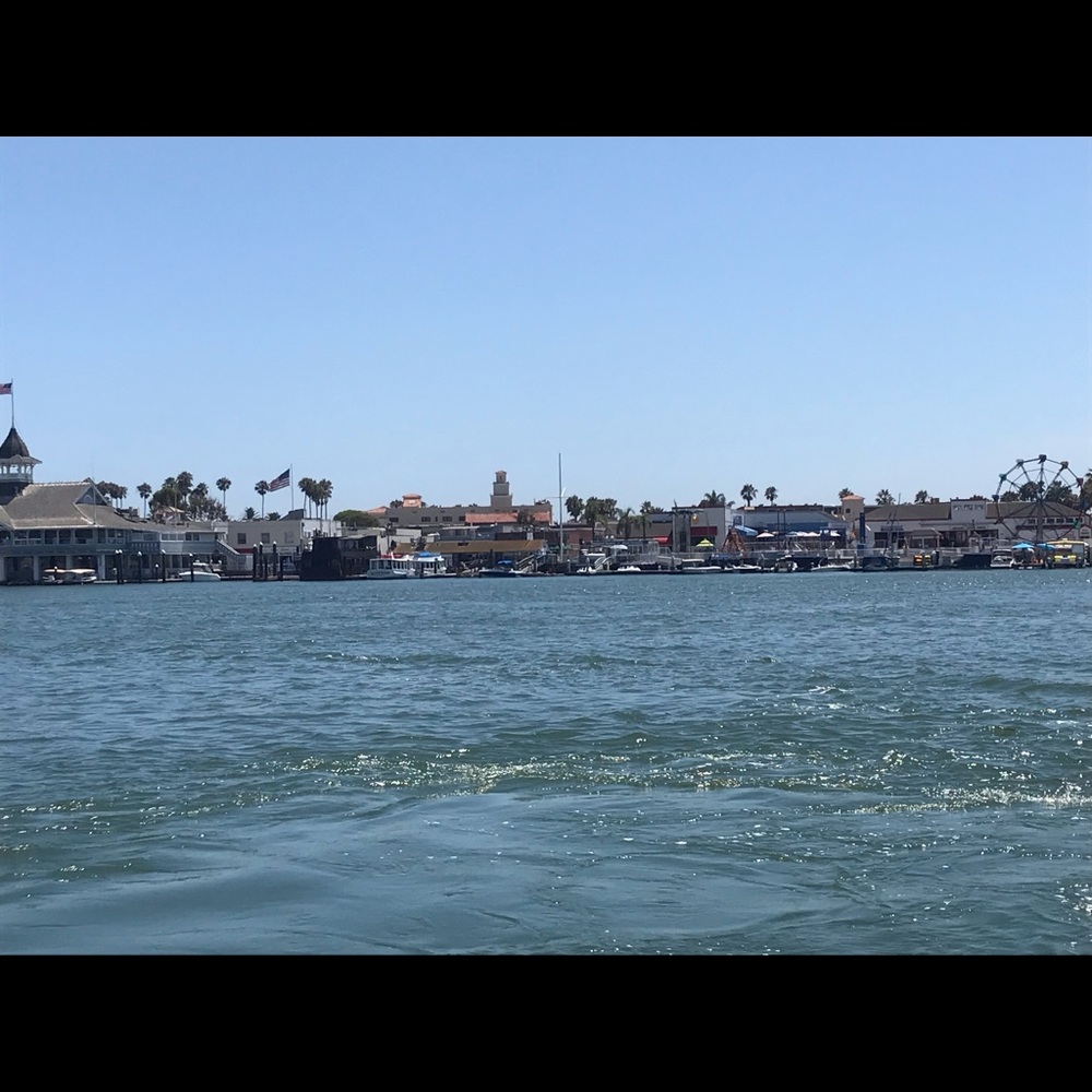 Meet your Posher, JC